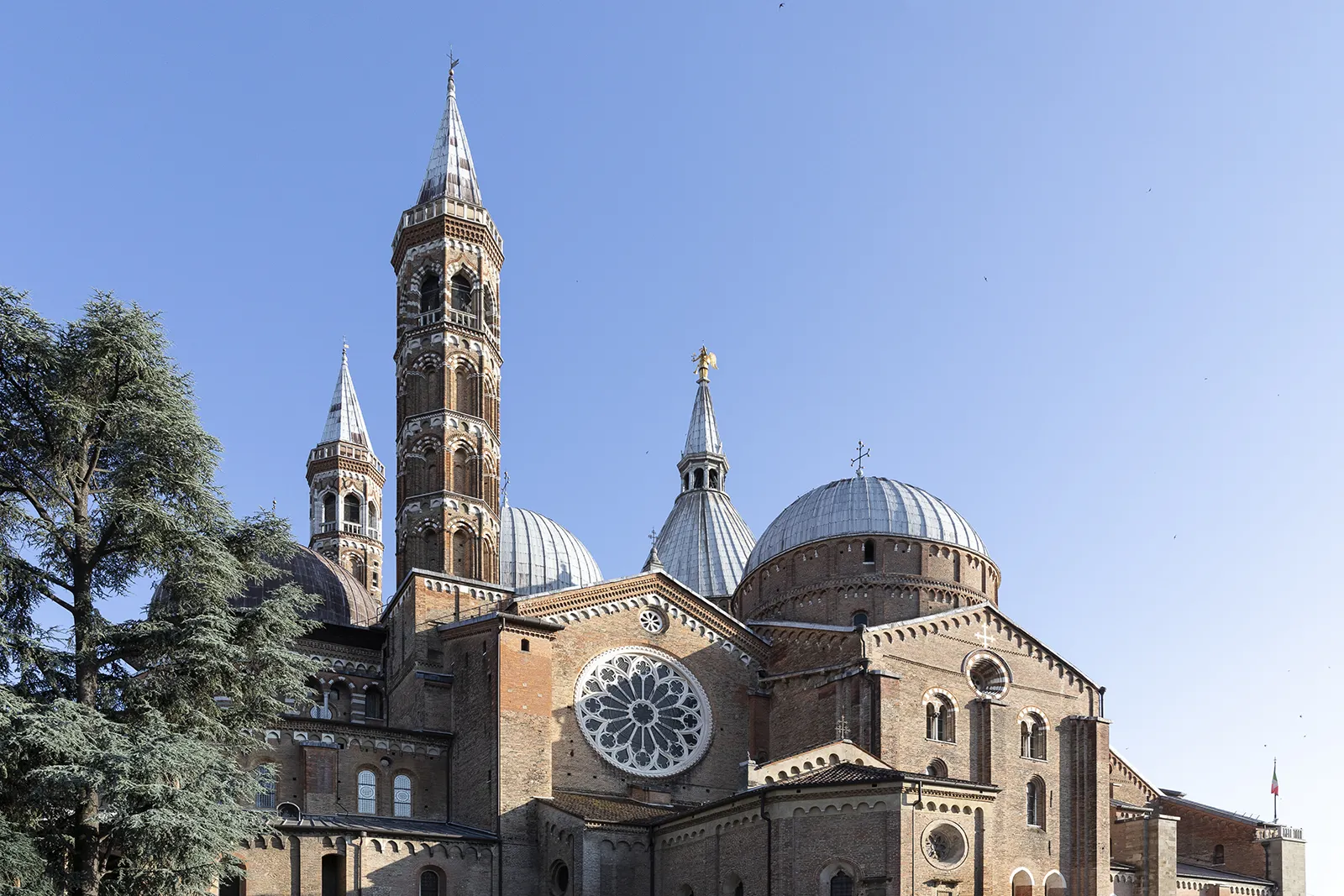 Basilica Sant'Anonio Padova
